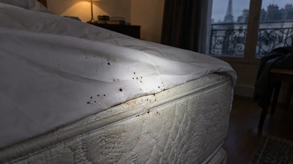 Traces noires et taches sur un drap au bord d’un matelas, signes d’infestation de punaises de lit